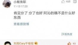 吃瓜网红情侣分手,网红情侣分手背后的网络狂欢