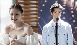 圈内爆料何超莲出轨视频,真相背后引热议